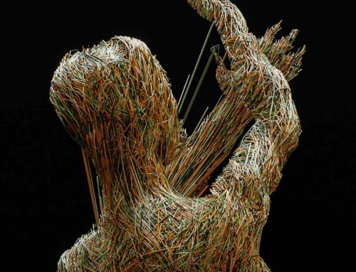 Planirana gradnja novih objekata